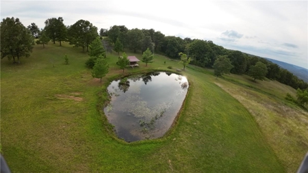 Luxury Log Cabin on 9.95 Acres with Ozark Mountain Views For Sale - image 42