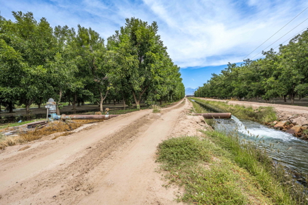 Income-Producing Pecan Farm in the Heart of Doña Ana County, NM - image 27