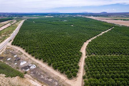 Income-Producing Pecan Farm in the Heart of Doña Ana County, NM - image 12