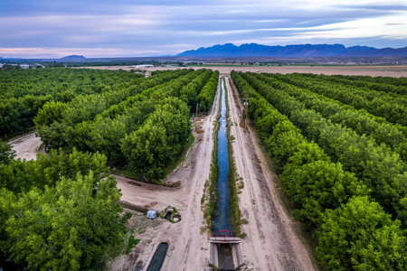 Income-Producing Pecan Farm in the Heart of Doña Ana County, NM - image 6