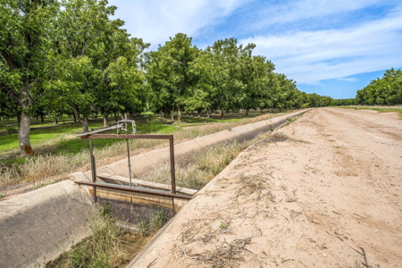 Income-Producing Pecan Farm in the Heart of Doña Ana County, NM - image 30