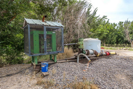Income-Producing Pecan Farm in the Heart of Doña Ana County, NM - image 34