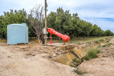 Income-Producing Pecan Farm in the Heart of Doña Ana County, NM - image 33