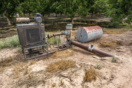 Income-Producing Pecan Farm in the Heart of Doña Ana County, NM - image 32