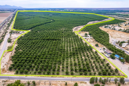 Income-Producing Pecan Farm in the Heart of Doña Ana County, NM - image 9