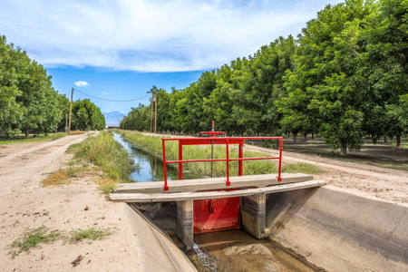 Income-Producing Pecan Farm in the Heart of Doña Ana County, NM - image 29