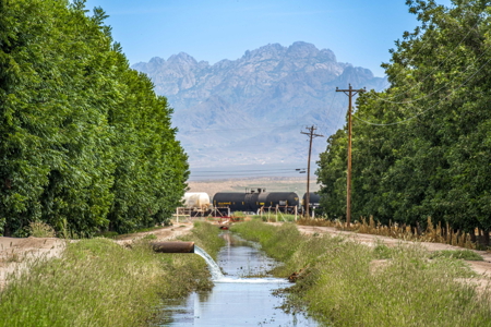 Income-Producing Pecan Farm in the Heart of Doña Ana County, NM - image 28