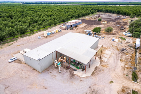 Income-Producing Pecan Farm in the Heart of Doña Ana County, NM - image 16