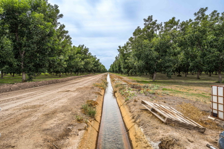 Income-Producing Pecan Farm in the Heart of Doña Ana County, NM - image 24