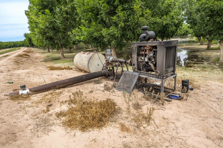 Income-Producing Pecan Farm in the Heart of Doña Ana County, NM - image 31