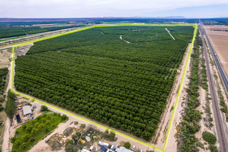 Income-Producing Pecan Farm in the Heart of Doña Ana County, NM - image 13