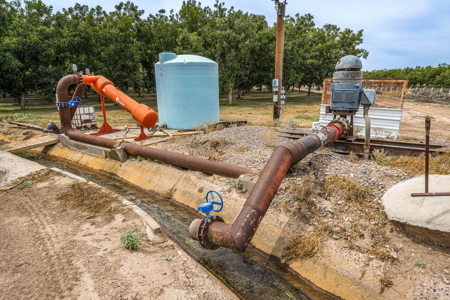 Income-Producing Pecan Farm in the Heart of Doña Ana County, NM - image 25