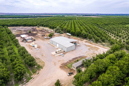 Income-Producing Pecan Farm in the Heart of Doña Ana County, NM - image 17