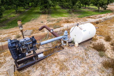 Income-Producing Pecan Farm in the Heart of Doña Ana County, NM - image 22
