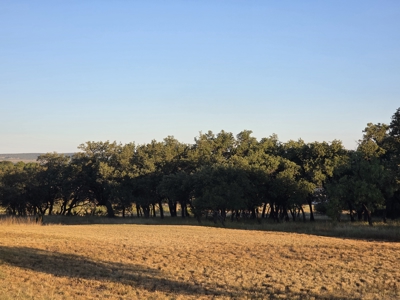 West Texas Acreage with Home for Sale – Irion County, TX - image 45