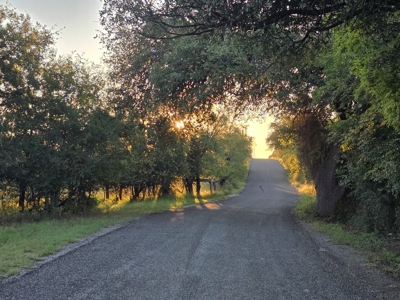 West Texas Acreage with Home for Sale – Irion County, TX - image 43