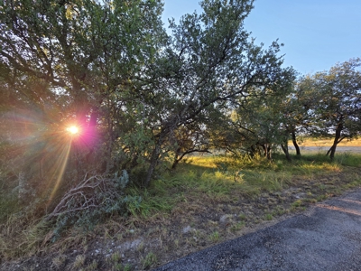 West Texas Acreage with Home for Sale – Irion County, TX - image 46
