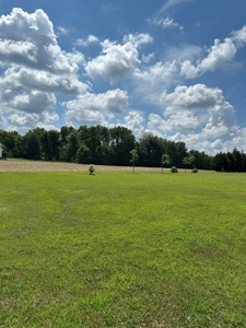 Land for Sale in Maury County, Tennessee - image 1