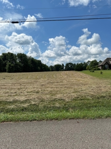 Land for Sale in Maury County, Tennessee - image 2