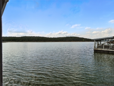 Lake Home with 2 Home and 3 Stall Boat Dock on Bull Shoals Lake - image 7