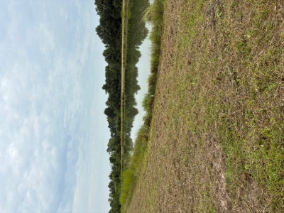 Country Home Site Available between Rayne and Duson - image 5