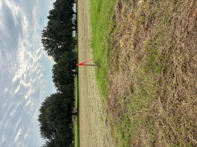Country Home Site Available between Rayne and Duson - image 7