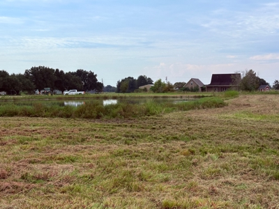 Country Home Site Available between Rayne and Duson - image 3