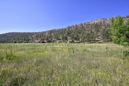 Serene Mountain Retreat on 5.43 Acres – Florissant, CO - image 4