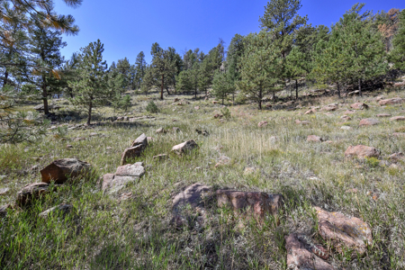 Serene Mountain Retreat on 5.43 Acres – Florissant, CO - image 11