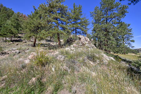 Serene Mountain Retreat on 5.43 Acres – Florissant, CO - image 14