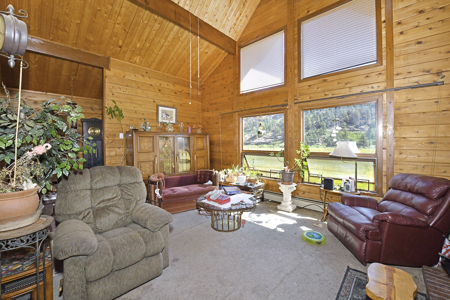 Serene Mountain Retreat on 5.43 Acres – Florissant, CO - image 34