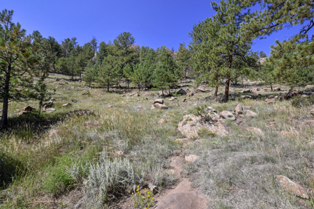 Serene Mountain Retreat on 5.43 Acres – Florissant, CO - image 13