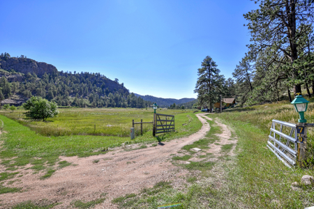 Serene Mountain Retreat on 5.43 Acres – Florissant, CO - image 5