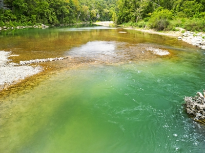 104.5 Acres w/ Bryant Creek Frontage & Custom Shouse - image 25