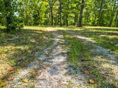 104.5 Acres w/ Bryant Creek Frontage & Custom Shouse - image 28