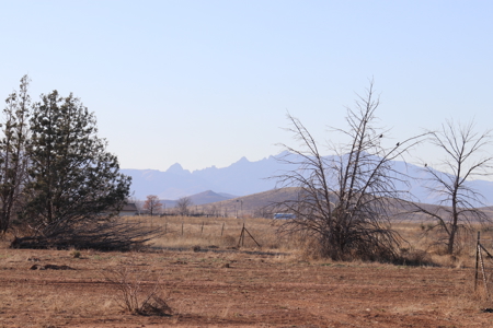 8+ Acres in Sunizona area of Pearce, AZ - image 27