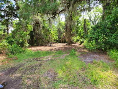 Parcel C - 10 Acres Land For Sale Starke, Florida - image 5