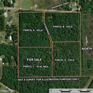 Parcel C - 10 Acres Land For Sale Starke, Florida - image 16