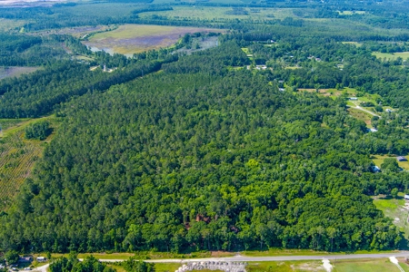 Parcel C - 10 Acres Land For Sale Starke, Florida - image 1