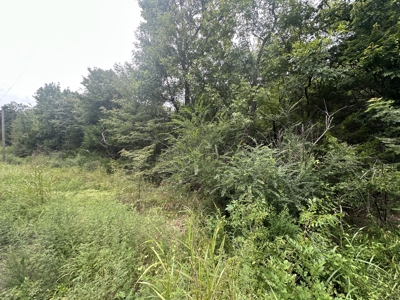Land for Sale in Tuskahoma, OK - image 1