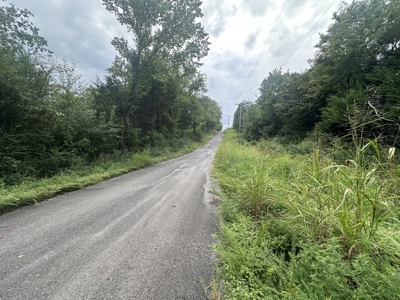 Land for Sale in Tuskahoma, OK - image 2