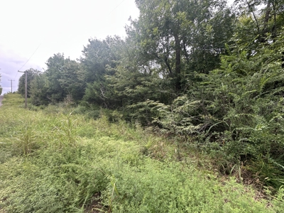 Land for Sale in Tuskahoma, OK - image 4