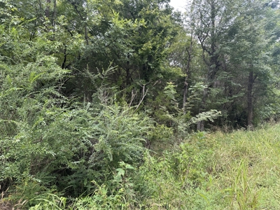 Land for Sale in Tuskahoma, OK - image 3