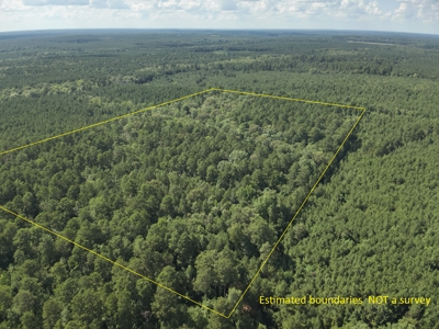 Pine/Hardwood Hunting Land W/ Creek Nevada County, AR for Sale!! - image 1