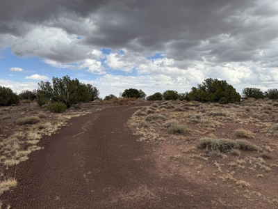 Rural Land for sale near Snowflake AZ in Eastern AZ, Seller Finan - image 1