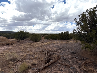 Rural Land for sale near Snowflake AZ in Eastern AZ, Seller Finan - image 6