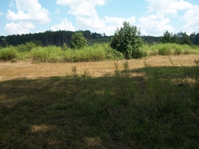 Waterfront Property on Middle Fork Creek Franklin County MS - image 25