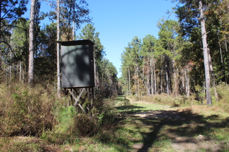 Waterfront Property on Middle Fork Creek Franklin County MS - image 48