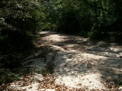 Waterfront Property on Middle Fork Creek Franklin County MS - image 18