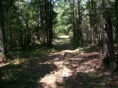 Waterfront Property on Middle Fork Creek Franklin County MS - image 6